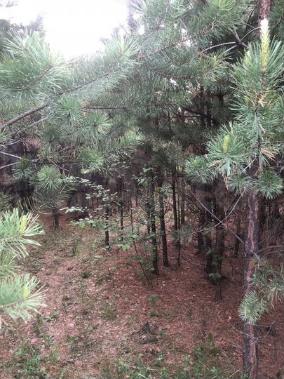 Дом 56,2 м² на участке 10 сот.