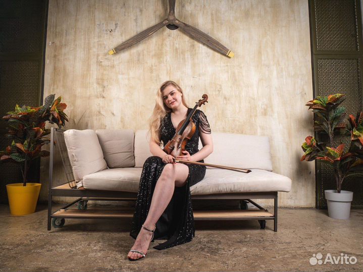 Скрипка на праздник