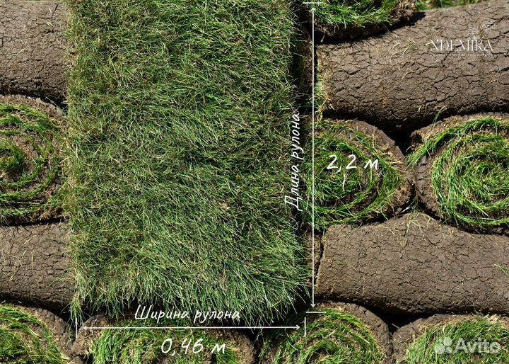Рулонный газон с укладкой под ключ