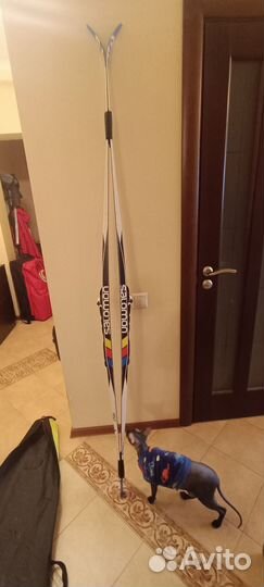 Комплект Ботинки для беговых лыж ficher и лыжи