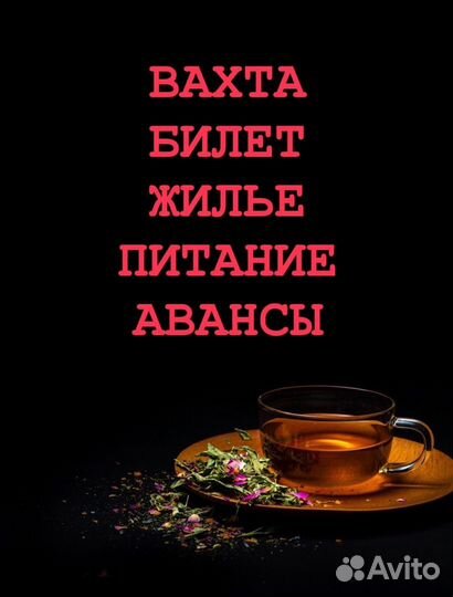 Упаковщик без опыта выплаты еженедельно вахта