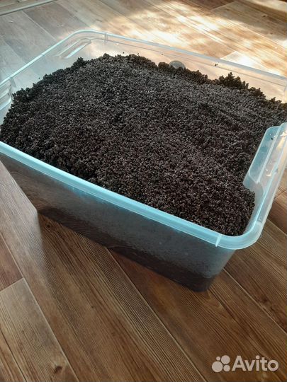 Грунт для аквариума