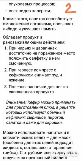 Тибетский гриб кефирный молочный