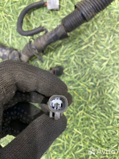 Проводка двс Toyota Avensis универсал 1.8 1zzfe