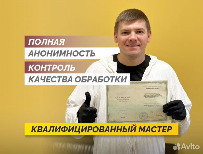 Уничтожение плесени, крыс, тараканов, клопов