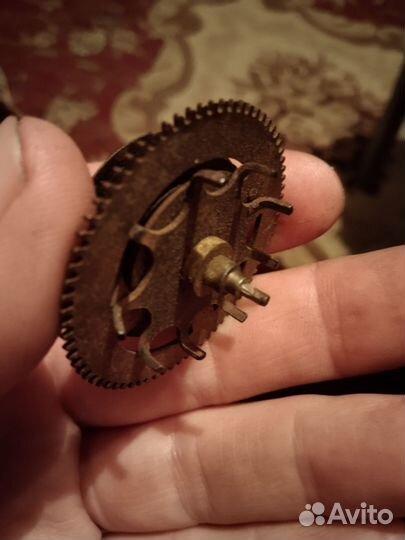 Хобби, коллекционирование