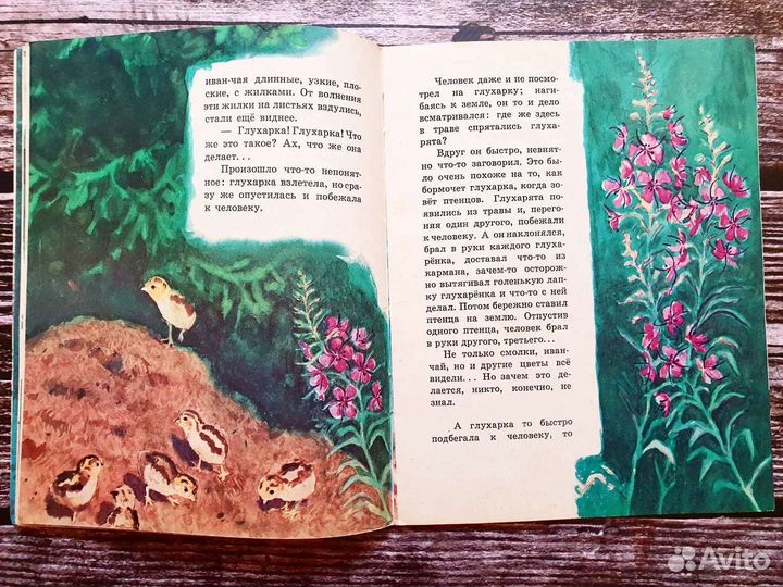 Брагин. Однажды вечером в лесу. 1960 г