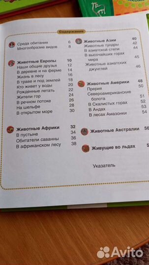 Энциклопедия для детей