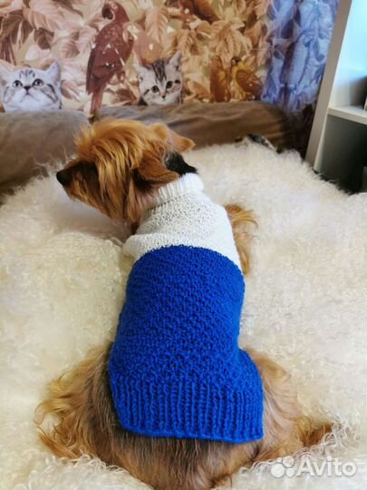 Жилетка одежка для маленьких собачек и кошек