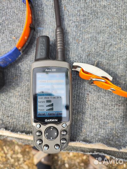 Навигатор garmin Astro 220 с ошейником