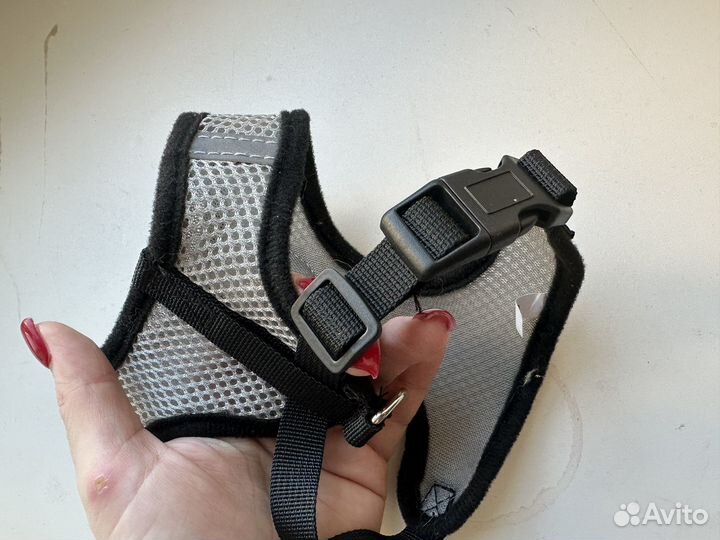 Шлейка с поводком для кошек/собак