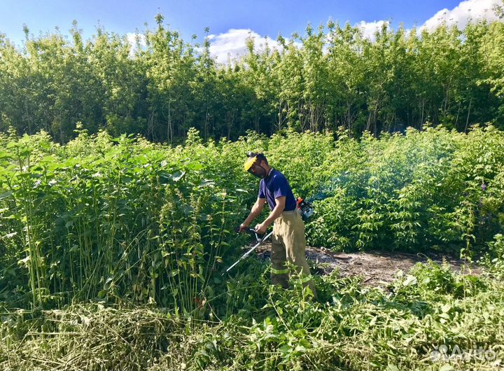 Землекопы,разнорабочие,демонтаж