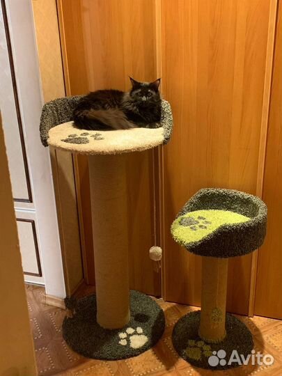 Когтеточки на заказ
