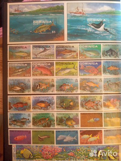 Альбом с марками (Рыбы)