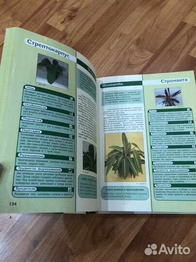 Энциклопедия комнатных растений,Дизайн и ремонт