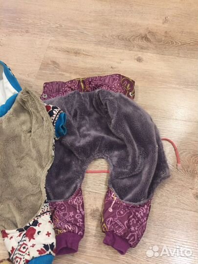 Одежда для мелких пород