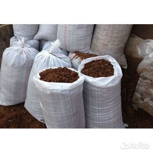 Конский навоз под осень