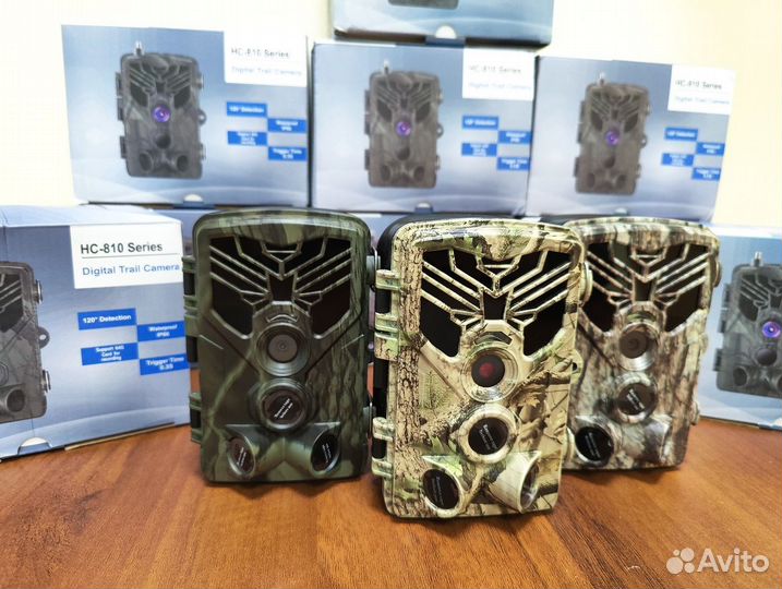 Фотоловушка Филин 810 в Саратове, новые