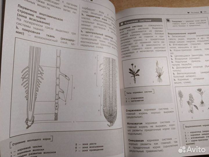 Справочник по биологий