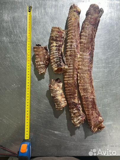 Говяжья трахея лакомство для собак