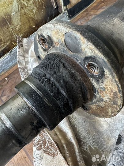 Чулок на газель