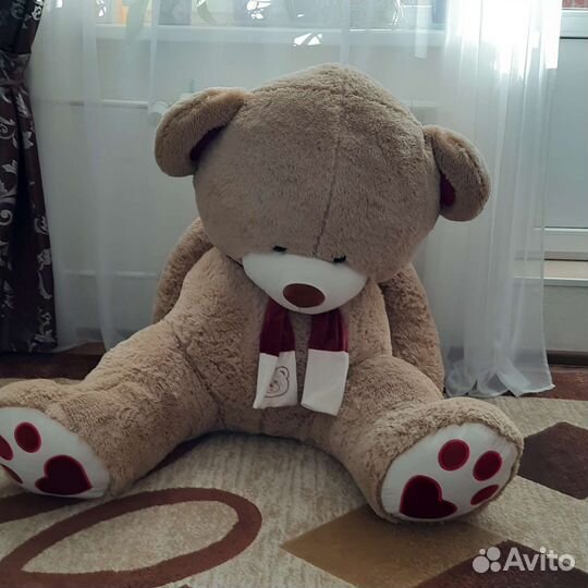 Большие плюшевые медведи