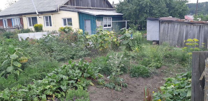 Дом 42 м² на участке 3,5 сот.