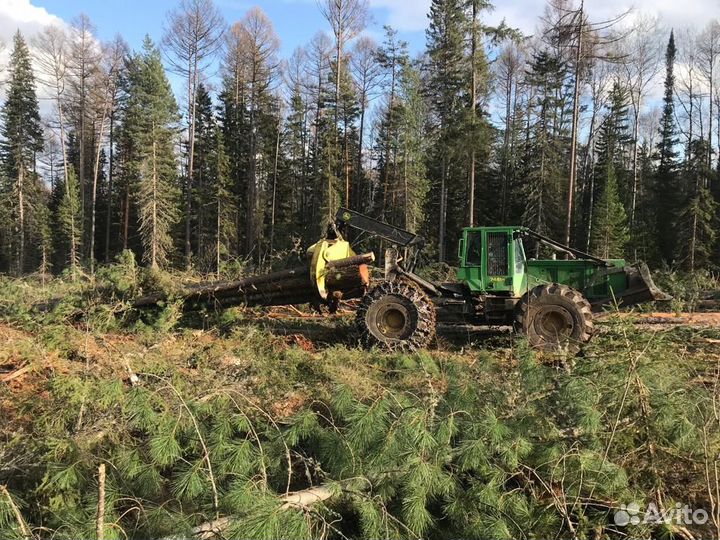 Услуги по заготовке леса/Вырубка просек, расчистка