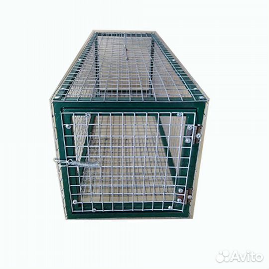 Котоловка (кошколовка), собаколовка