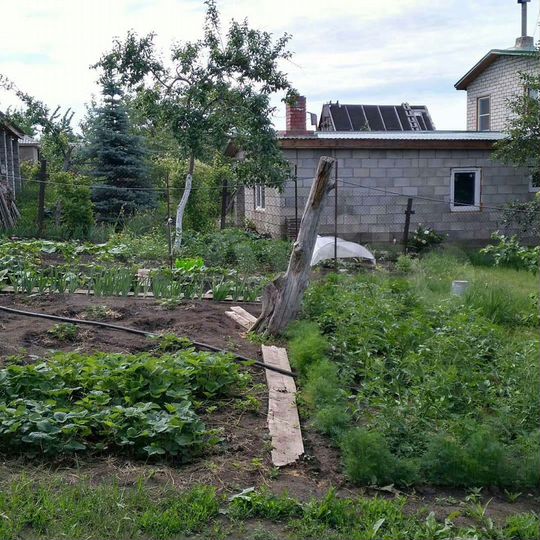Дача 50 м² на участке 6 сот.