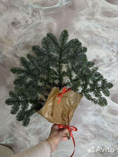 Ветки нобилиса