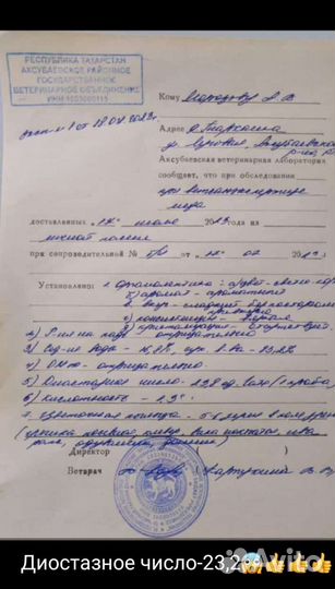 Продажа меда