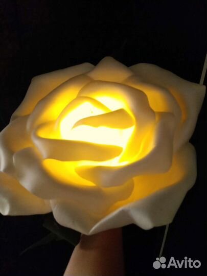 Светильник настенный