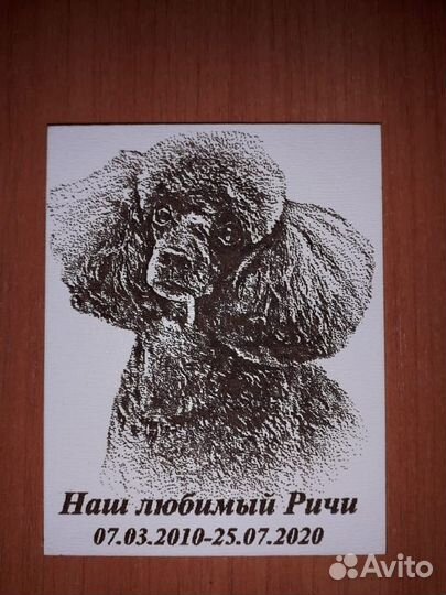 Кремация животных