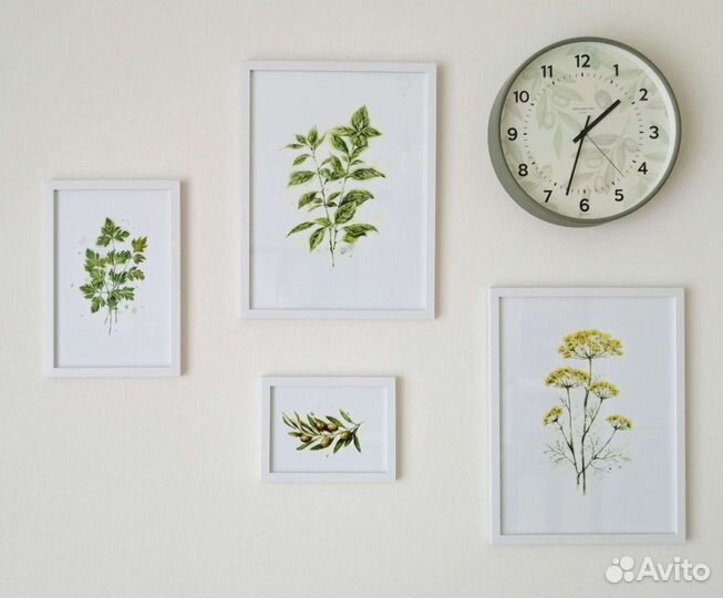 Ботанические картины