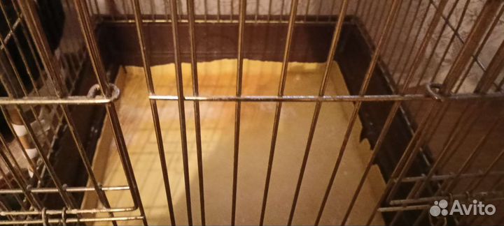 Клетка вольер для птиц