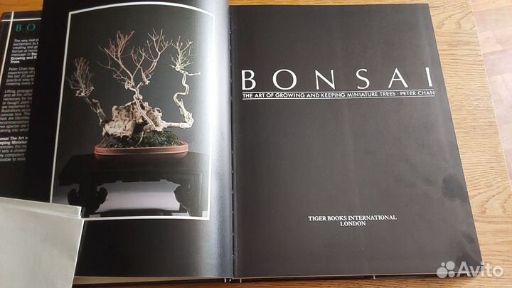 Бонсай. Bonsai. Peter Chan