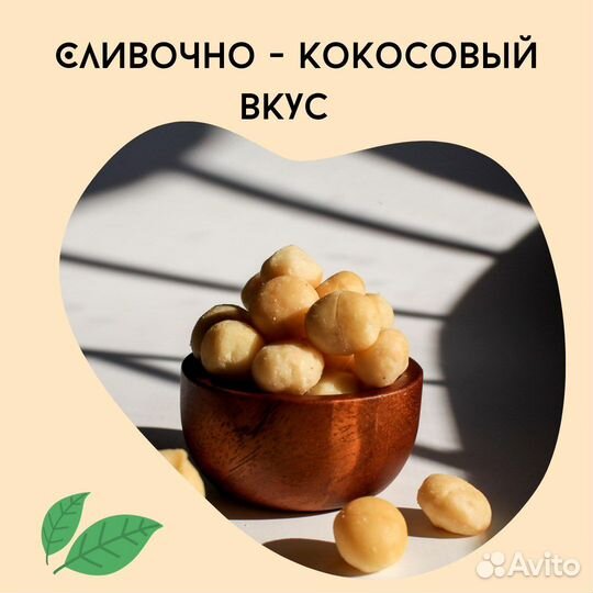 Макадамия высший сорт зеленый лист Орех Макадамия