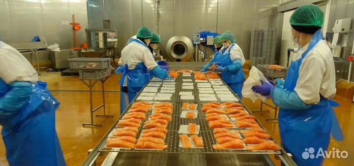 Фасовщик морепродуктов - Москва Вахта 15, 20, 30