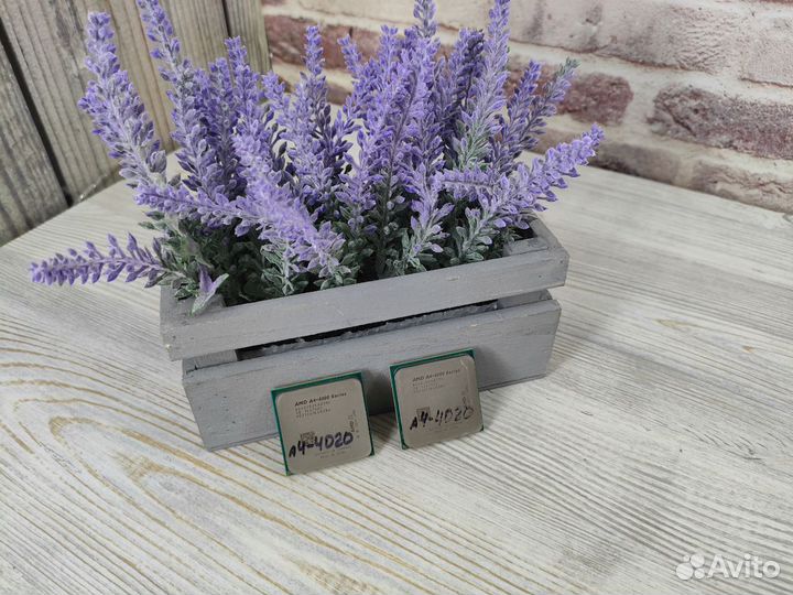 Процессоры под сокет FM2 2 ядра