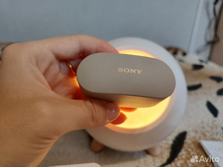 Наушники True Wireless Sony WF-1000XM4 Silver