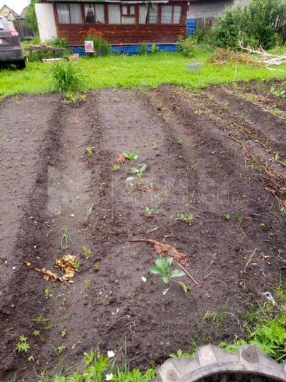 Дача 24,4 м² на участке 8 сот.