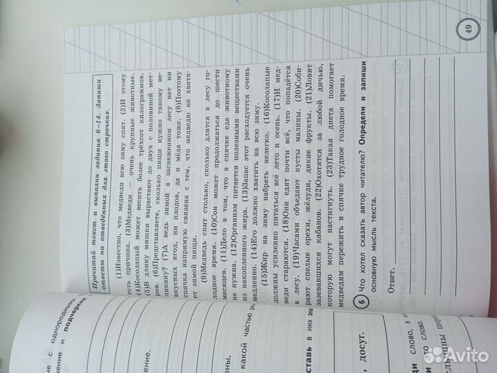 Типовые задания по ВПР 4 класс