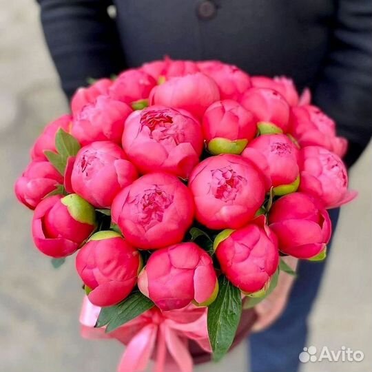 Пионы Цветы Доставка