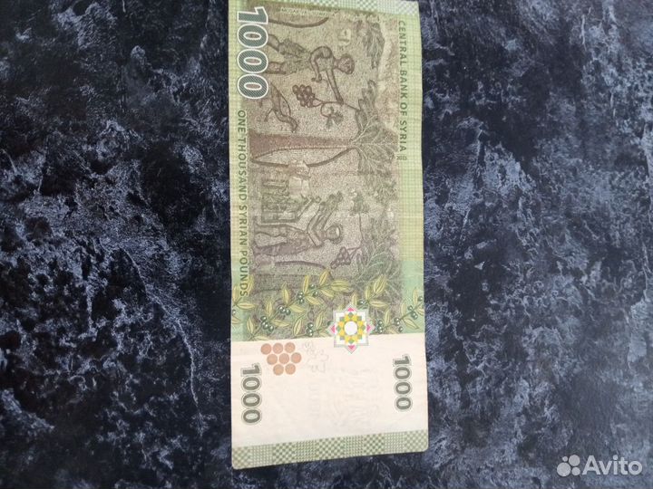 Банкнота Сирии