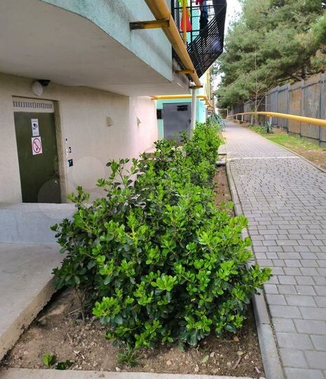 Офис, 10 м² ост. ТЦ SeaMall