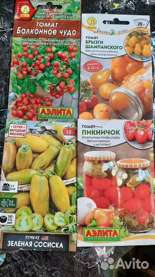 Рассада помидор, томатов