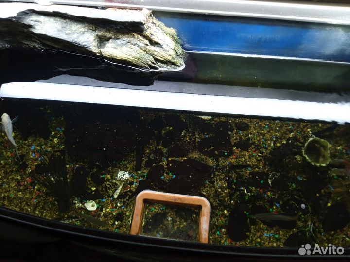 Аквариум 250 литров с тумбой juwel