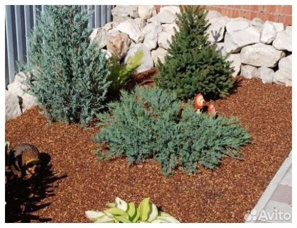 Скорлупа Кедрового Ореха,Мульча, Доставка выгрузка