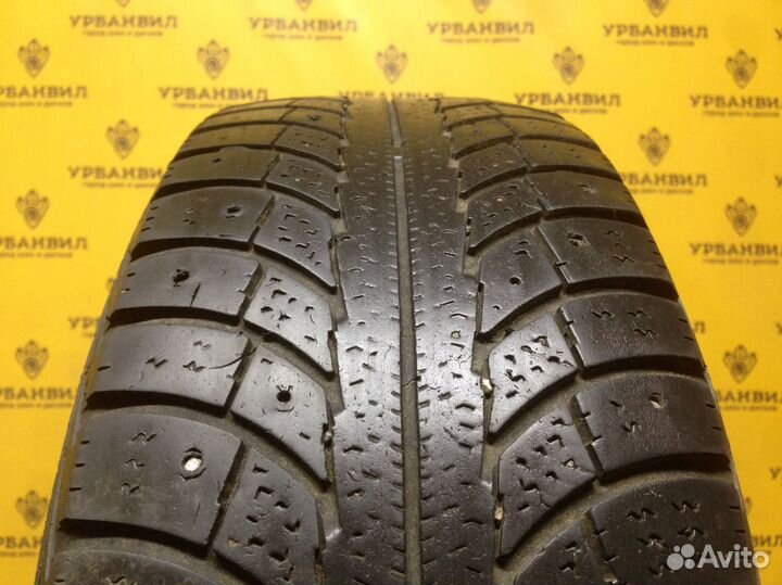 Gislaved Nord Frost 5 175/65 R14